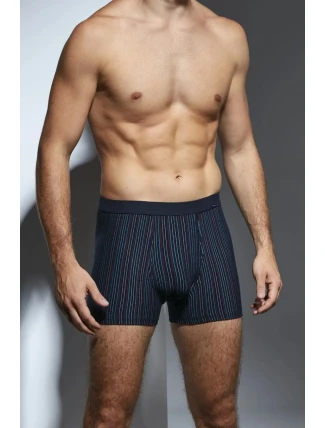 BOXERKY RŮZNÉ MINI 233 JARO 2024