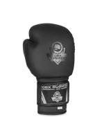 Boxerské rukavice 10oz - Black Master - Valor Series