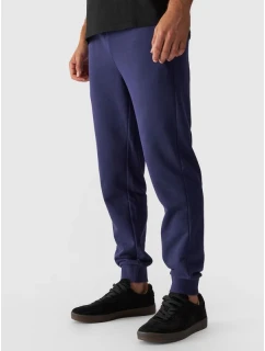 Pánské tepláky typu jogger 4F 4FWMM00TTROM0942-31S