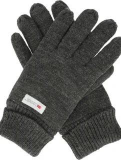 Pánské rukavice Whistler Roumat