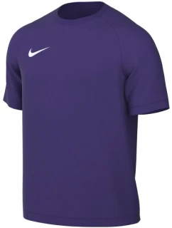 Nike Dri-Fit Park VIII pánské tričko fialové HV8173 547 pánské