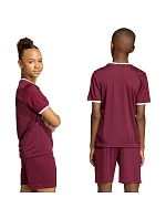 Dětský dres adidas Entrada 26 Jersey bordó JZ2530