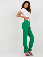 Kalhoty DHJ SP 6971.37P zelená