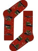 Dámské ponožky John Frank WJFLSFUN-CH64