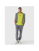 Pánské tričko s potiskem 4F 4FRAW24TTSHM2299-45S pánské Pánské tričko s potiskem 4F 4FRAW24TTSHM2299-45S pánské