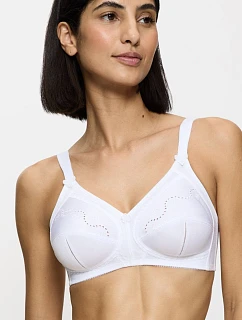 Soft model 229353 Triumph
