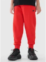 Chlapecké tepláky 4F