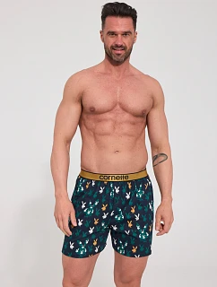Boxerky CLASSIC 881 J/26