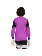 Adidas Squadra 25 Juniorské brankářské tričko s dlouhým rukávem JJ1939