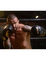 Boxerské rukavice 10oz - Hammer Gold - Legacy Series