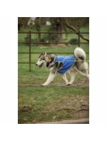 Psí obleček Trespass Alaska Psí obleček Trespass Alaska