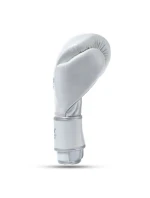 Boxerské rukavice z přírodní kůže s vícevrstvou výplní - PLATINUM - Legacy Series | DBX Bushido