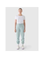 Dámské tričko s potiskem 4F 4FWMM00TTSHF1846-10S