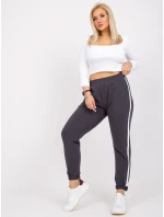 Tepláky RV DR 6643.95 grafit