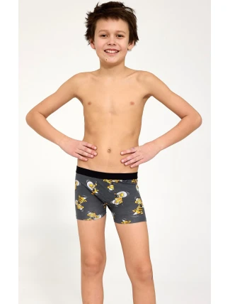 Boxerské šortky Cornette Young Boy 700/156 Hornet 2 134-164 Boxerské šortky Cornette Young Boy 700/156 Hornet 2 134-164