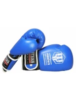 Boxerské rukavice MASTERS RBT-A (ZMĚNA CENY)