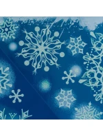 Samolepka na okno 30x42 CM