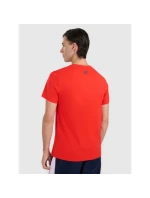 Pánské tričko s potiskem 4F 4FRAW25TTSHM3225-62S