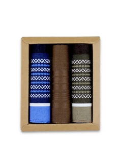 Ega Kapesník CH-496 Pánské A'3