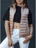 Dámská prošívaná vesta se stojáčkem STYLISHZ růžová FashionStreet TY4449 Dámská prošívaná vesta se stojáčkem STYLISHZ růžová FashionStreet TY4449