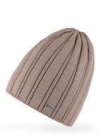 Pánská čepice AJS 50-309