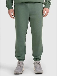 Pánské tepláky 4F 4FWAW25TTROM1272-41S