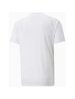 Puma teamVISION Jersey M 704921 04 pánské