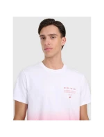 Pánské tričko s potiskem 4F 4FRAW25TTSHM3226-62S