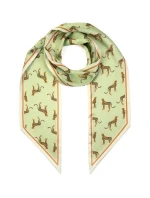 Čelenka Art Of Polo 25305 Savanna