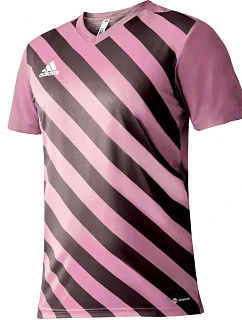 Adidas Entrada 22 Graphic Jersey M HC2633 pánské