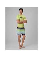 Pánské tričko na plavání a vodní sporty s filtrem UPF50+ značky 4F, model 4FRSS26TFWSM001-45S