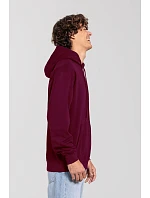 Fruit of the Loom Iconic 250 Hooded Sweat Mikina s kapucí 16.2294 burgundy Fruit of the Loom Iconic 250 Hooded Sweat Mikina s kapucí 16.2294 burgundy