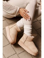 Dámské Sněhule Na Platformě Zateplené Kožíškem Béžové Xamella