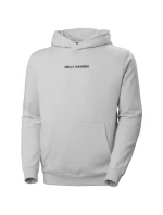 Helly Hansen Core Graphic Sweat Hoodie M 53924 825 Helly Hansen Core Graphic Sweat Hoodie M 53924 825