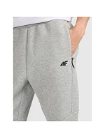 Pánské tepláky typu jogger 4F 4FRMM00TTROM1623-27M