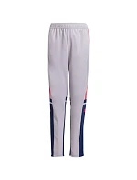 Kalhoty adidas Squadra 25 Training Jr JP3369