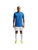 Nike Dri-Fit Park VIII pánské tričko modré HV8173 463 pánské