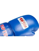 RTT-COMPETITION 10oz kožené boxerské rukavice (SCHVÁLENÉ SVĚTOVÝM BOXEM)