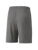 Puma teamLIGA Shorts Jr 704931 13