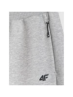 Pánské tepláky typu jogger 4F 4FRMM00TTROM1623-27M