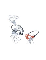 Bejo Rekes Jr. uzávěry 92800337347 N/A