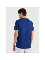 Pánské tričko (SET 2 triček) 4F 4FRMM00TTSHM2705-91S