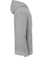 Fruit of the Loom Iconic 250 Hooded Sweat Mikina s kapucí 16.2294 athletic heather Fruit of the Loom Iconic 250 Hooded Sweat Mikina s kapucí 16.2294 athletic heather