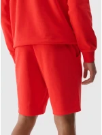 Pánské kraťasy 4F