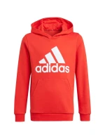 Dětská mikina Essentials Big Logo Hoodie Jr GN4037 - Adidas