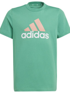 Dětské tričko Big Logo 2 Tee Jr IB8776 - Adidas