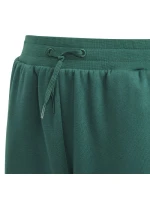 Adidas BLUV Q3 Pant Jr IA1553 Adidas BLUV Q3 Pant Jr IA1553