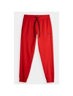 Kalhoty 4F CAS M451 M 4FAW23TTROM451-62S