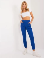 RV kalhoty SP 9602.26 kobalt