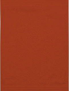 The One Towelling Guest 30x50 Ručník pro hosty 48.1003 terra spice